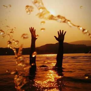 树洞的文案 头像