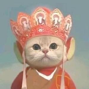猫长老 头像