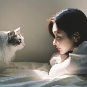 往事如风 头像