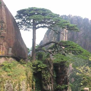 面试题解析 头像