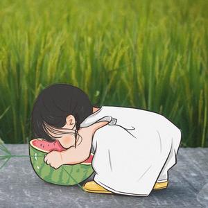 博学多才的媛姐 头像