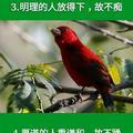 王義君