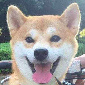 搞笑汪星人W 头像