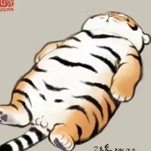 白风小严