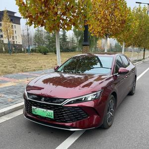 八哥的秦L 头像