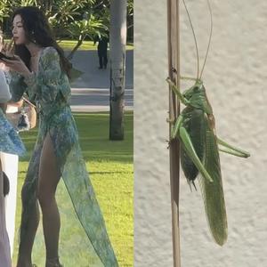 溪边洗衣自在人 头像