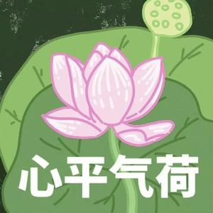 聪慧星球nca 头像