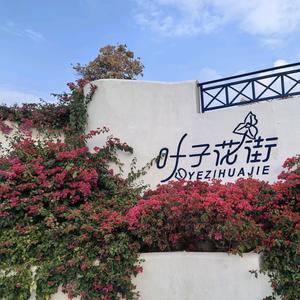 Ms.晴成长星图 头像