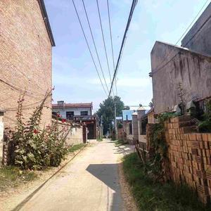 豫见老家河南 头像