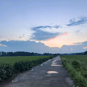 胡先生日常和工作 头像