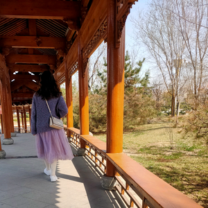 青黛|书法国画 头像