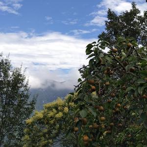 你有你世界我有我风景头像