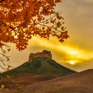 阳关自媒体 头像