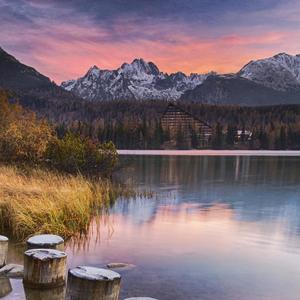 行走在路上的飞鱼 头像