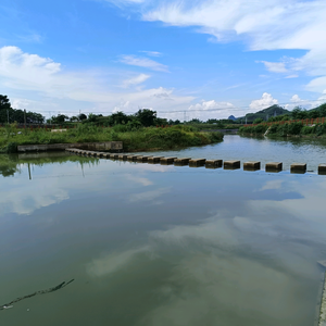 圣妈爱美食 头像