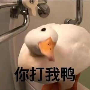 登登等等哈plus版 头像