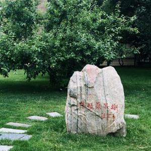 小吴爱八卦 头像