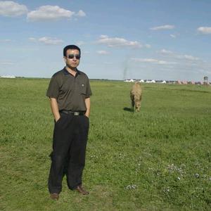 老孟聊天客栈