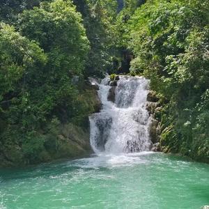 海口龙华祺珺严选商贸商行 头像