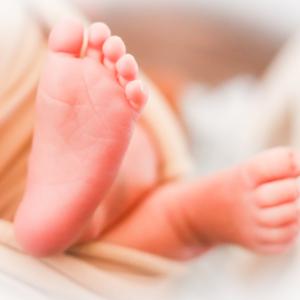 幸福百香果TW 头像