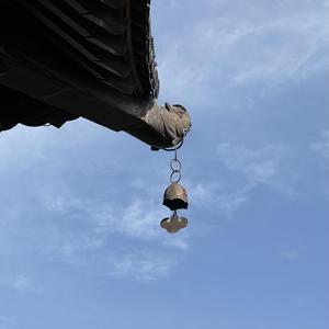 Nono实在太奇怪了 头像