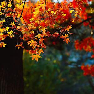 医学故事.健康 头像