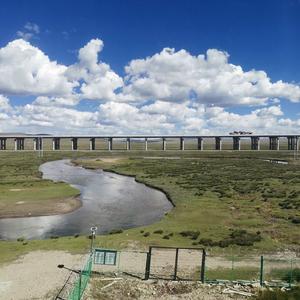 柠檬遇上姜娃娃 头像