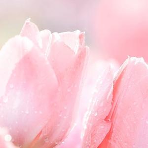 社恐艺术家 头像