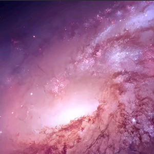 小飒爱好物 头像