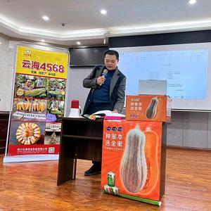 灵巧面条1z 头像