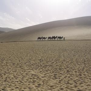 搬山道人 头像