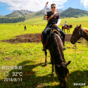 庄周不梦蝶 头像