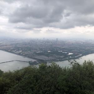正风歌 头像