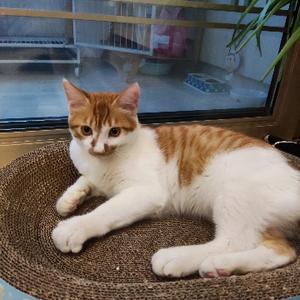 江南一逍遥 头像