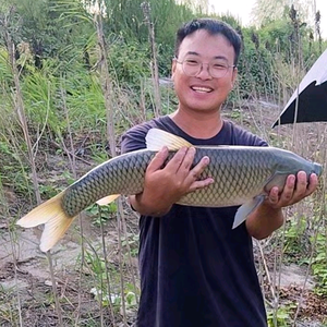 野钓狙鲫手（小汪户外生活）头像