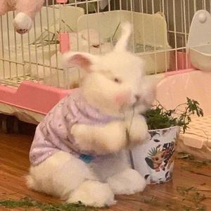 富贵杂谈社 头像