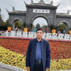 淡定TS 头像