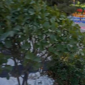 希望90381