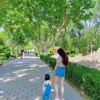 妈咪育儿说 头像