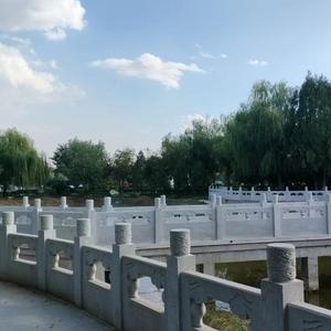 老阿姨 头像