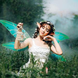 神话菌 头像
