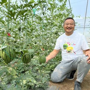 豫艺彩虹西瓜哥 头像