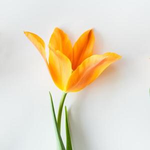 果妈爱学习 头像