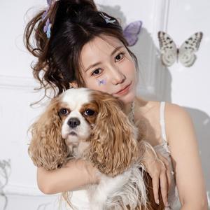 谭嘉惠Tracy 头像