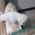 票房我承包 头像