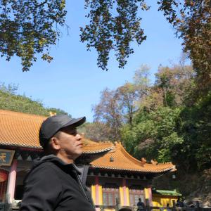 成长思维 头像