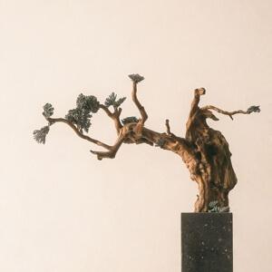 公文模板写作助手 头像