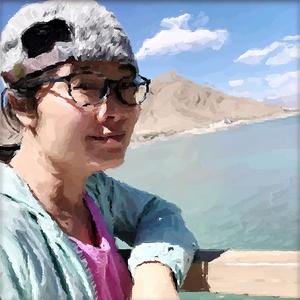 萝卜白菜旅行记 头像