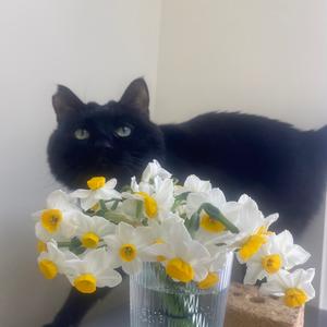 @小文的日常 头像