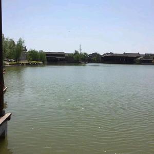 可爱的小七 头像